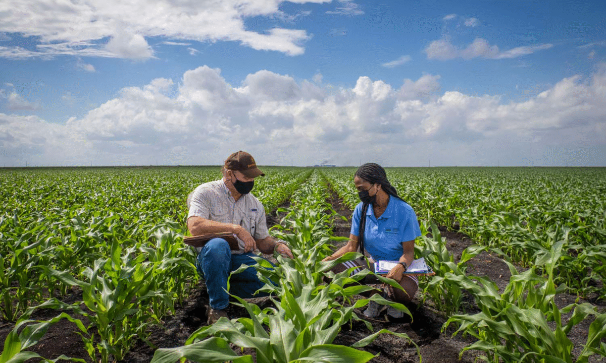 Farming Business in USA